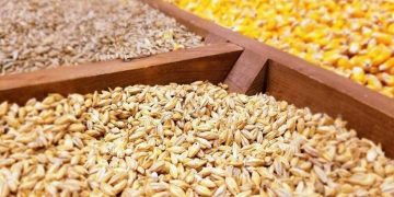 ۵۰ درصد توان مالی بخش خصوصی نزد دولت بلوکه شده است