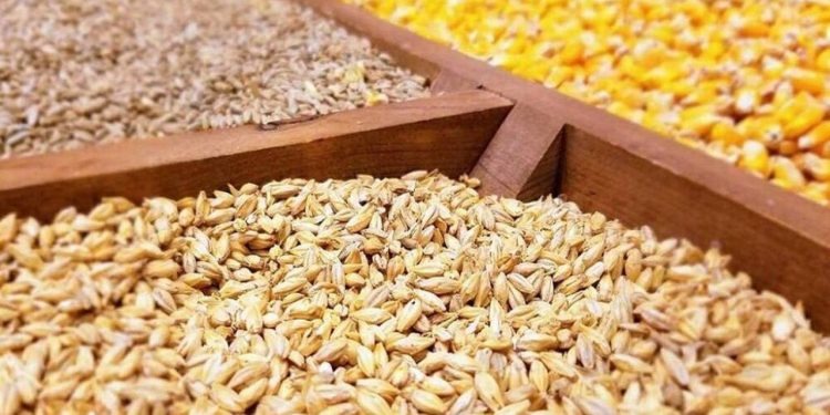 ۵۰ درصد توان مالی بخش خصوصی نزد دولت بلوکه شده است